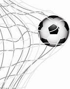 Foot ball Net - Image 4