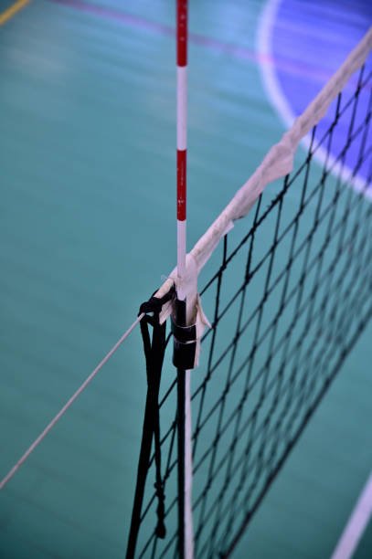 volley ball antenna net - Image 2